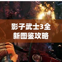 影子武士3全新图鉴攻略，揭秘未知游戏世界的秘密探索之旅