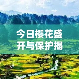 箭拔弩张