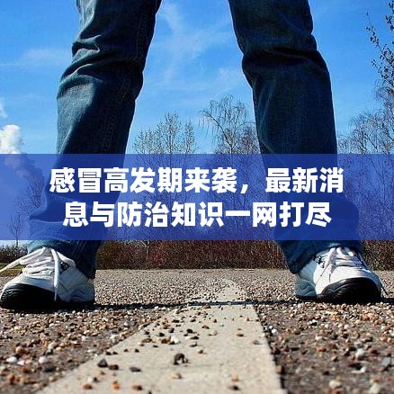 感冒高发期来袭，最新消息与防治知识一网打尽