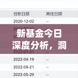 新基金今日深度分析，洞悉市场趋势，引领未来投资风向标