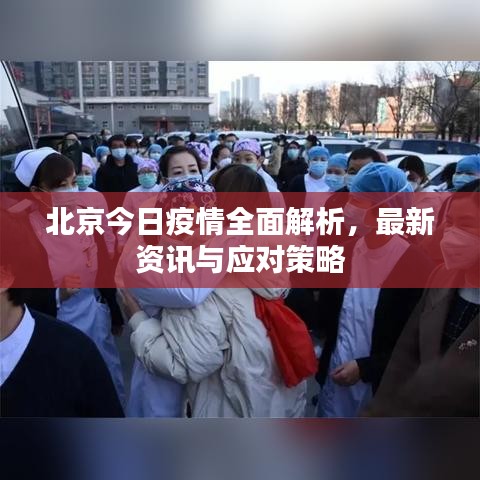 北京今日疫情全面解析，最新资讯与应对策略
