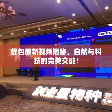 蜂包最新视频揭秘，自然与科技的完美交融！