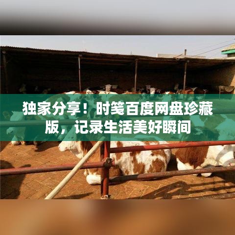 独家分享！时笺百度网盘珍藏版，记录生活美好瞬间