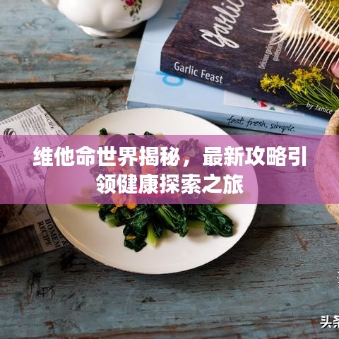 维他命世界揭秘，最新攻略引领健康探索之旅