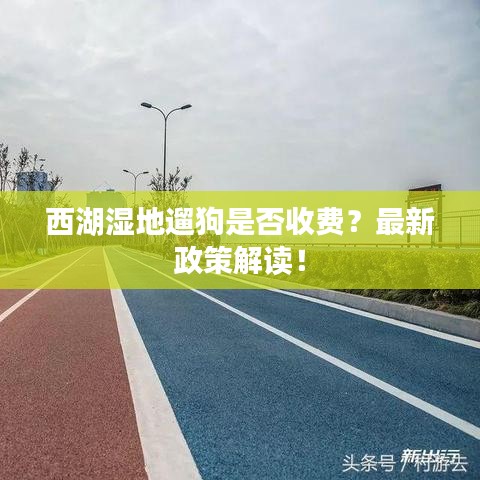 西湖湿地遛狗是否收费？最新政策解读！