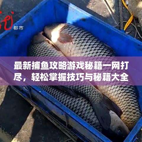 最新捕鱼攻略游戏秘籍一网打尽，轻松掌握技巧与秘籍大全！
