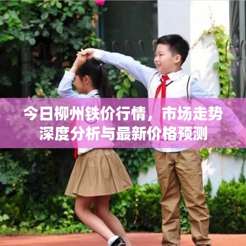 今日柳州铁价行情，市场走势深度分析与最新价格预测