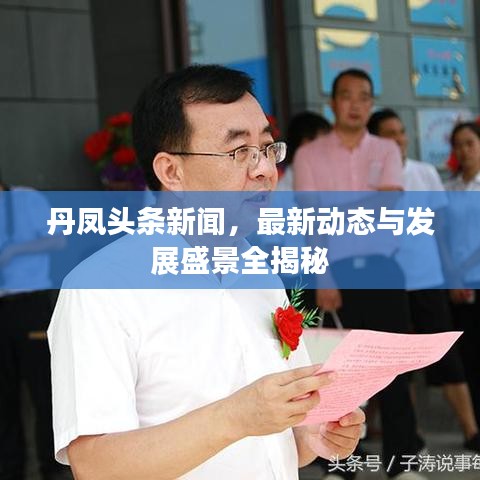 丹凤头条新闻，最新动态与发展盛景全揭秘