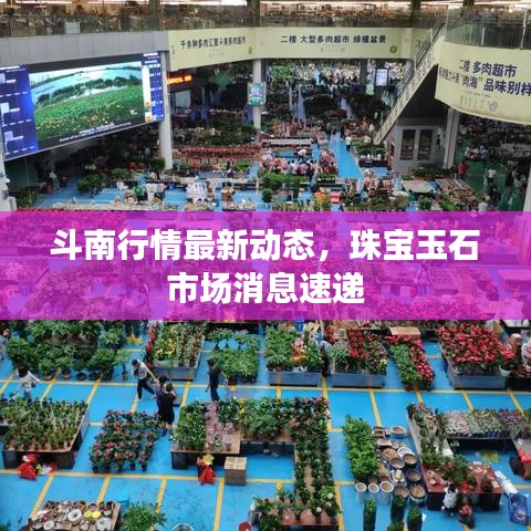 斗南行情最新动态，珠宝玉石市场消息速递