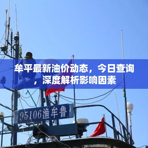 牟平最新油价动态，今日查询，深度解析影响因素