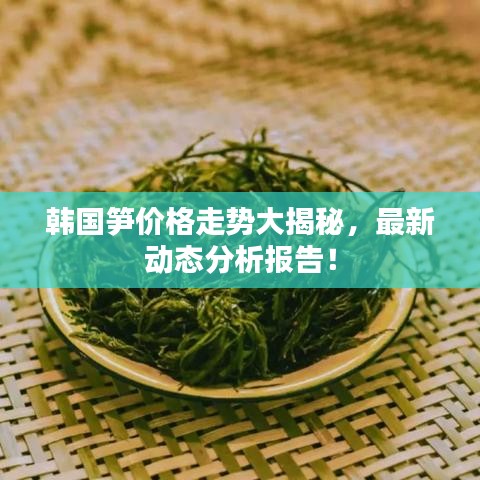 韩国笋价格走势大揭秘，最新动态分析报告！