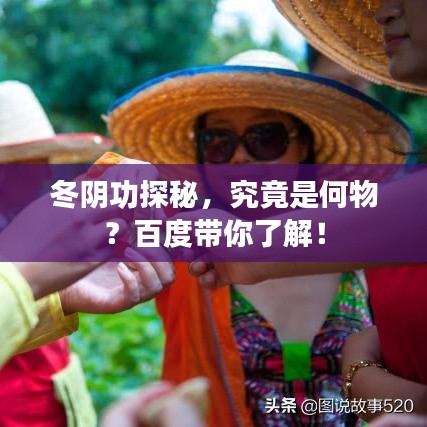 冬阴功探秘，究竟是何物？百度带你了解！