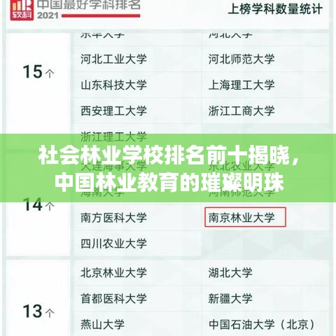社会林业学校排名前十揭晓，中国林业教育的璀璨明珠