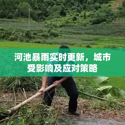 河池暴雨实时更新，城市受影响及应对策略