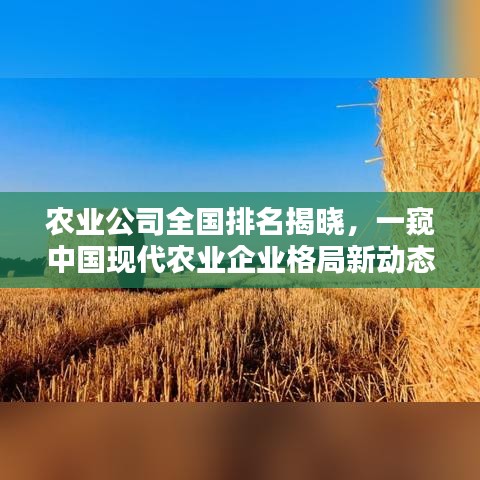 农业公司全国排名揭晓，一窥中国现代农业企业格局新动态