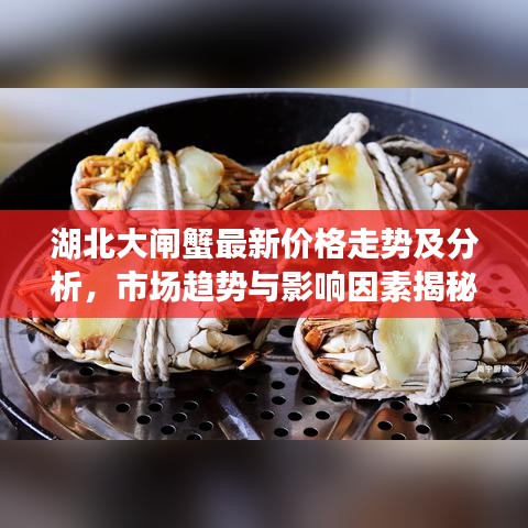 长颈鸟喙