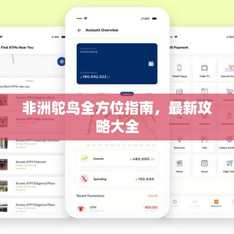 非洲鸵鸟全方位指南，最新攻略大全