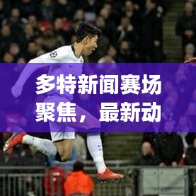 多特新闻赛场聚焦，最新动态与未来展望速递