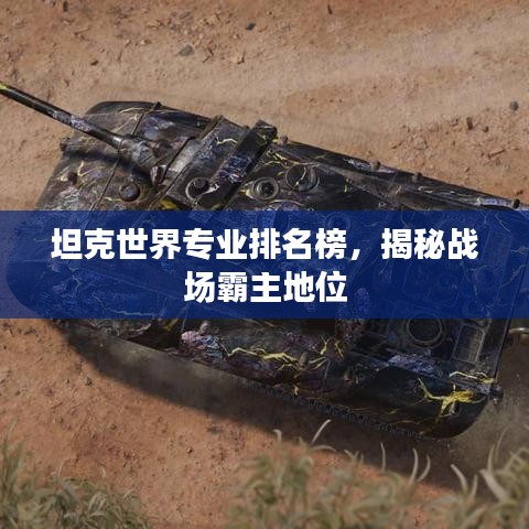 坦克世界专业排名榜，揭秘战场霸主地位