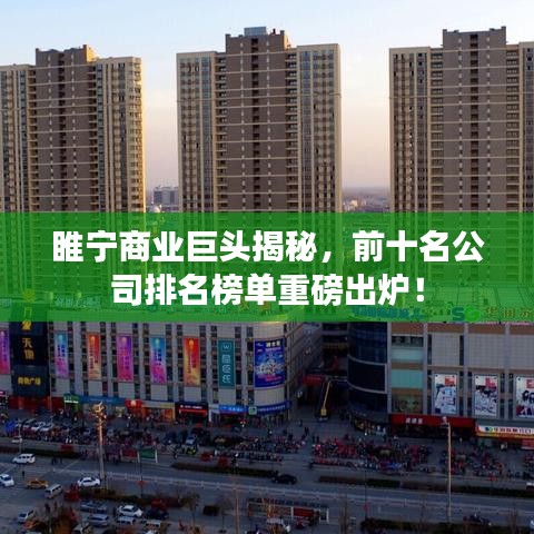 睢宁商业巨头揭秘，前十名公司排名榜单重磅出炉！