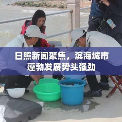 日照新闻聚焦，滨海城市蓬勃发展势头强劲