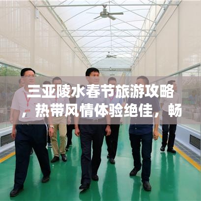 三亚陵水春节旅游攻略，热带风情体验绝佳，畅游春光不容错过！