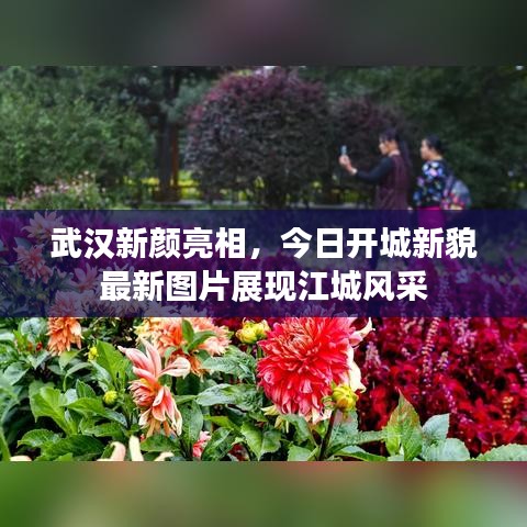 武汉新颜亮相，今日开城新貌最新图片展现江城风采
