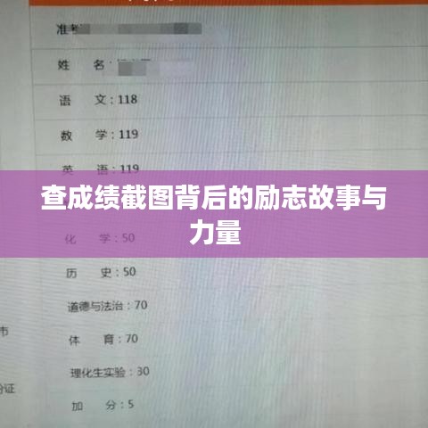 查成绩截图背后的励志故事与力量