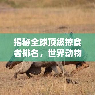 知错就改