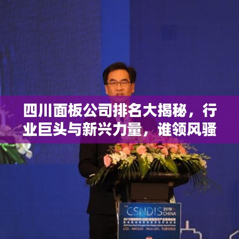 四川面板公司排名大揭秘，行业巨头与新兴力量，谁领风骚？