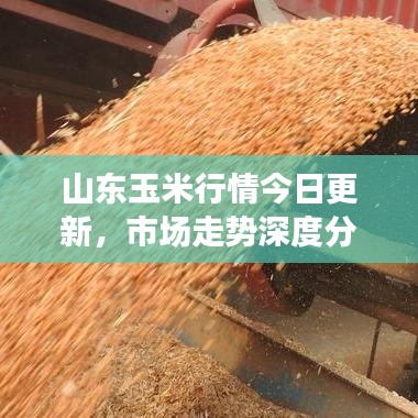 一心一意