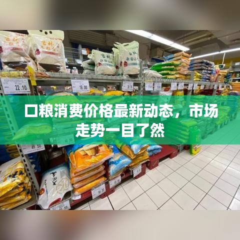 口粮消费价格最新动态，市场走势一目了然
