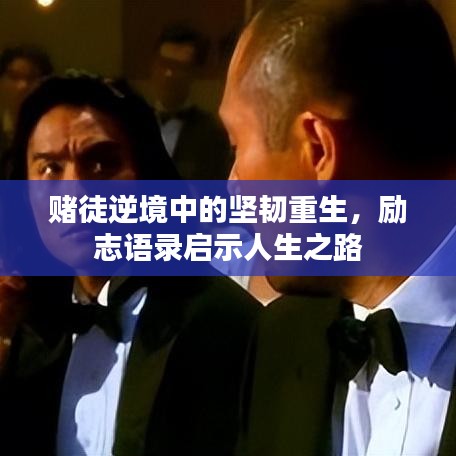 赌徒逆境中的坚韧重生，励志语录启示人生之路
