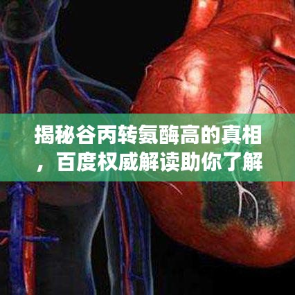 揭秘谷丙转氨酶高的真相，百度权威解读助你了解健康隐患！