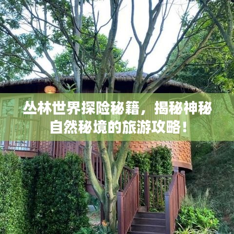 忠心耿耿
