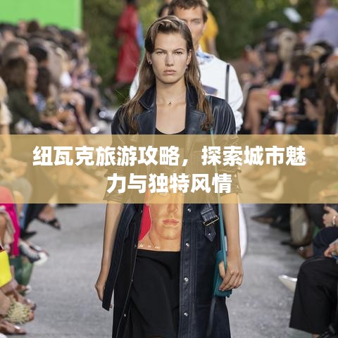 纽瓦克旅游攻略，探索城市魅力与独特风情