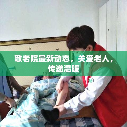敬老院最新动态，关爱老人，传递温暖