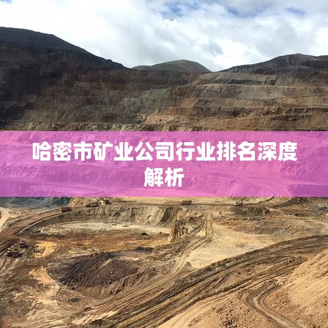 哈密市矿业公司行业排名深度解析