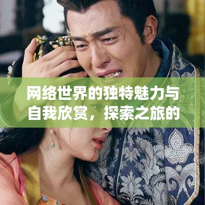 网络世界的独特魅力与自我欣赏，探索之旅的孤芳自赏
