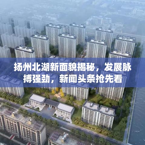 扬州北湖新面貌揭秘，发展脉搏强劲，新闻头条抢先看