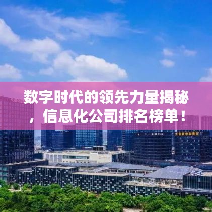 数字时代的领先力量揭秘，信息化公司排名榜单！