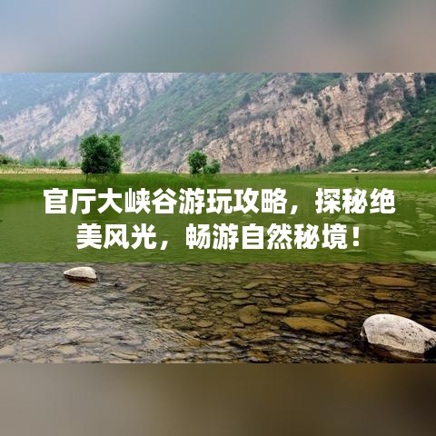 草率从事
