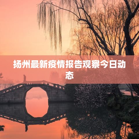 扬州最新疫情报告观察今日动态