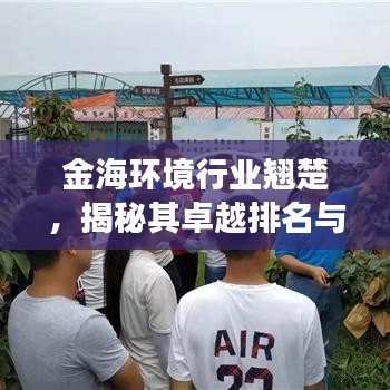金海环境行业翘楚，揭秘其卓越排名与成功之道