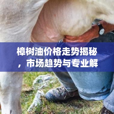 精雕细刻
