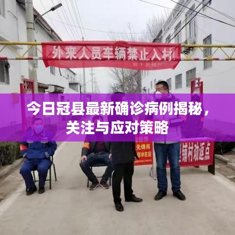 雍容华贵