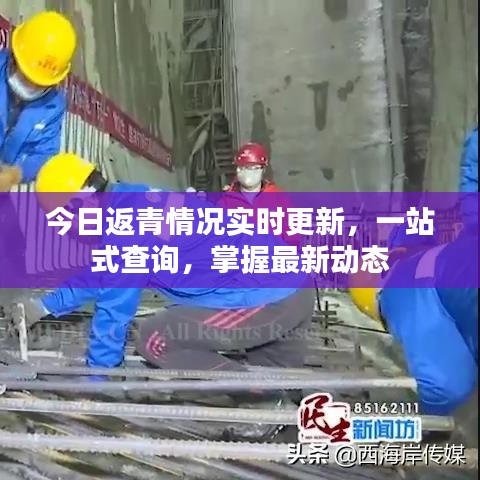 今日返青情况实时更新，一站式查询，掌握最新动态
