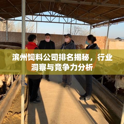 文质彬彬