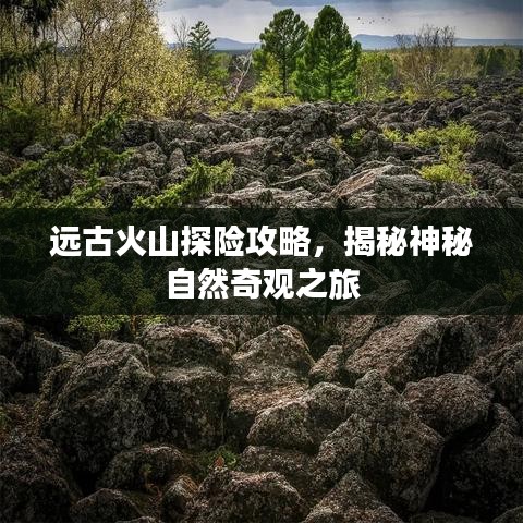 飞黄腾达