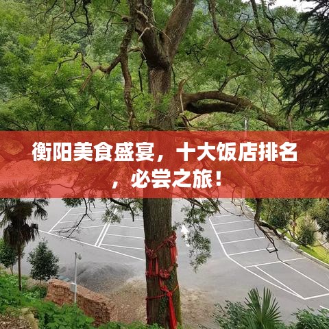 淡妆浓抹